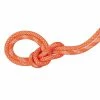 Mammut 9.8 Crag Classic Rope - Duodess -Ropes Sales 2010 04270 02268 main rsz 11725.1645215754