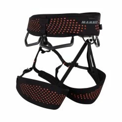 Mammut Comfort Fast Adjust Harness - Men's -Ropes Sales 2020 00920 00430 back rsz 29935.1645208804