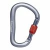 Black Diamond Rocklock Screwgate Carabiner -Ropes Sales 210256 1003 rocklockscrewgatecarabiner gray rsz 45492.1650496662