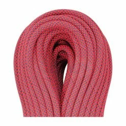 Beal Joker 9.1 Unicore - Golden Dry -Ropes Sales 493455 rsz 80627.1650663936