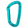 Edelrid Pure Straight Gate (Fall 2022) -Ropes Sales 71768 329a 77214.1626821878